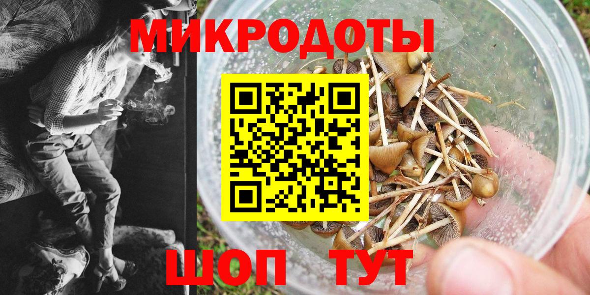 Псилоцибиновые грибы MAGIC MUSHROOMS Прокопьевск
