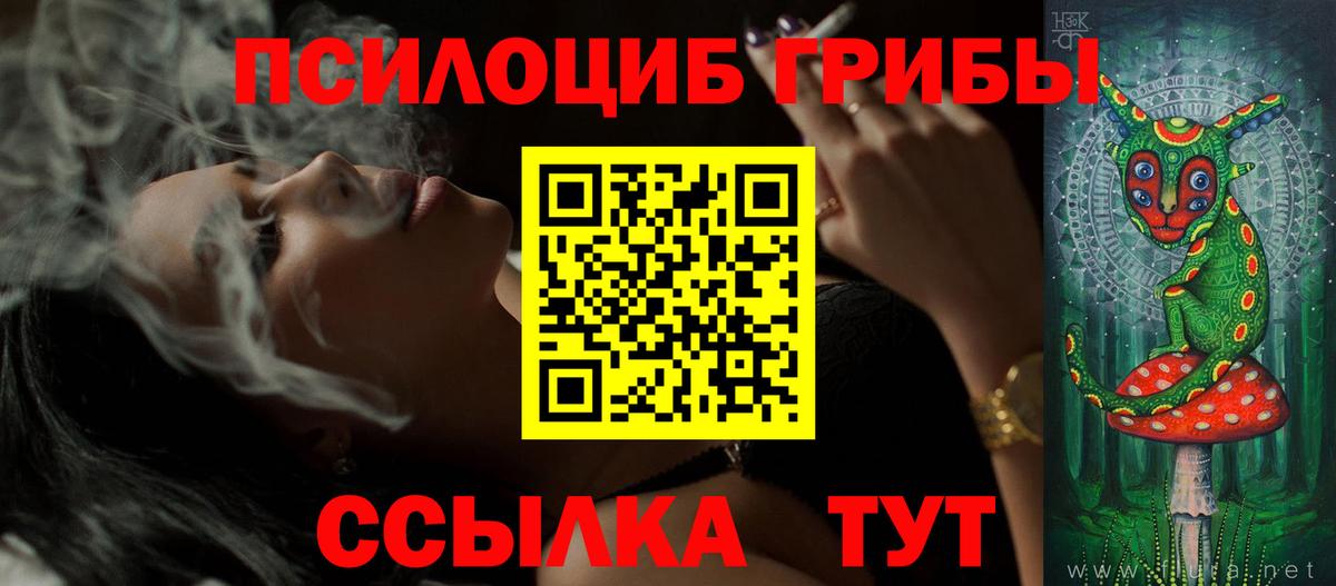 Прокопьевск  Галлюциногенные грибы Psilocybe  продажа наркотиков  Вход с VPN  Псилоцибиновые грибы мицелий 